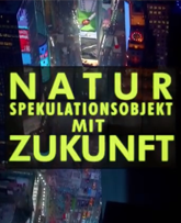 Spekulationsobjekt Zukunft